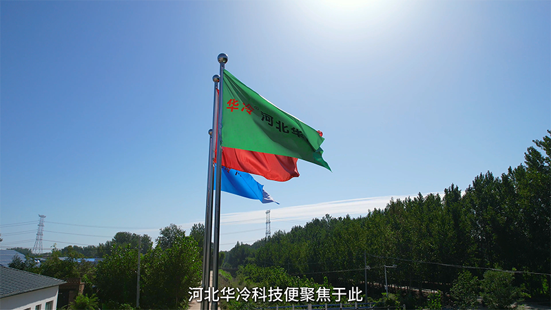 12月28日(7).png
